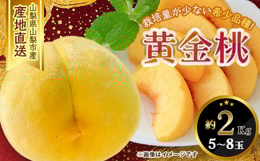 ӂ邳Ɣ[Ł2026Ns\ RRsY   2kg 5ʁ`8ʁy1328634zRRs12000ʕEt[cE