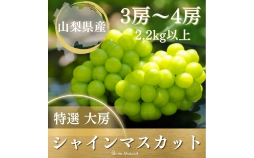 <2026年発送 先行受付>フルーツ王国山梨県産シャインマスカット 3房〜4房 2.2kg以上【1362278】山梨県山梨市24000果物・フルーツマスカット・ぶどう