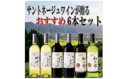 ワイン サントネージュワインが贈る おススメ 6本 セット_ ふるさと納税 ふるさと ワイン 赤ワイン 白ワイン ソーヴィニヨン シャルドネ お酒 酒 アルコール 山梨県 山梨市 山梨 ギフト プレ