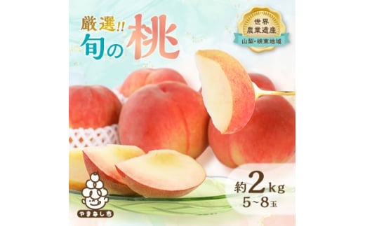 <2026年先行予約>厳選!旬の桃 約2kg(5玉〜8玉)<離島・沖縄配送不可>【1395536】山梨県山梨市12000果物・フルーツもも・すもも