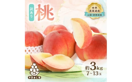 2026年 先行受付<訳あり>桃 約3kg (7玉〜13玉) 山梨市産 桃【1395537】山梨県山梨市12000果物・フルーツもも・すもも