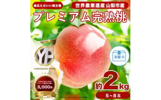 2026年度先行予約 晩生 約2kg 5~8個 大ぶり歯ごたえ◎ YAMANASHI PRIDE 桃【1425351】山梨県山梨市14000果物・フルーツもも・すもも