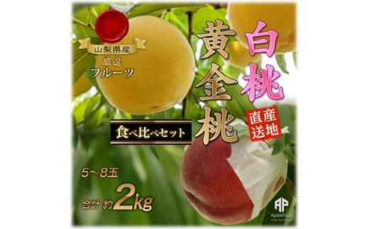 <2026年先行予約>山梨市産 白桃と黄金桃の食べ比べセット 約2kg(5〜8玉)【1431881】山梨県山梨市14000果物・フルーツもも・すもも