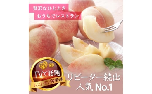 <一流シェフを唸らす逸品>リピーターNo.1樹上完熟桃ギリギリ限界まで完熟2026年8月下旬より発送【1459516】山梨県山梨市46000果物・フルーツもも・すもも