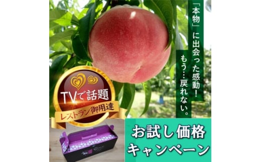 <見逃し厳禁>今逃せば1年待ち5連続TV出演『樹上完熟ブランド桃』2026年7月下旬より発送【1459997】山梨県山梨市26000果物・フルーツもも・すもも