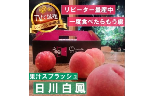 <果汁スプラッシュ日川白鳳>人気品種指定ギフト5年連続TV出演話題ブランド桃2026年6月下旬発送【1465184】山梨県山梨市29000果物・フルーツもも・すもも