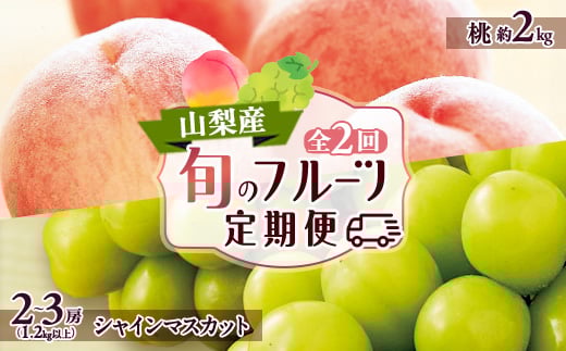 <発送月固定定期便>山梨市フルーツ定期便(桃・シャインマスカット)全2回【4006310】山梨県山梨市32000果物・フルーツもも・すもも