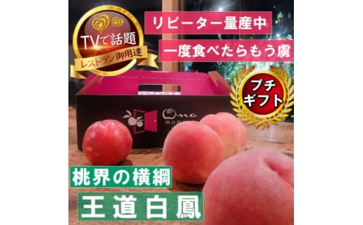 ẺjLOPlCiwMtg5NATVobuh2026N7{y1465186zRRs29000ʕEt[cE
