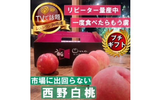 <市場に出回らないレアな西野白桃>人気品種指定ギフト5年連続TV出演話題ブランド2026年7月中旬発【1465267】山梨県山梨市29000果物・フルーツもも・すもも