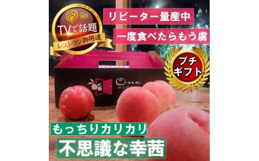 <もっちりカリカリ不思議な幸茜>人気品種指定ギフト5年連続TV出演話題ブランド2026年8月中旬発送【1465329】山梨県山梨市29000果物・フルーツもも・すもも