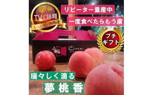 XH鎟SlCiwMtg5NATVobuh2026N7{`y1465408zRRs29000ʕEt[cE