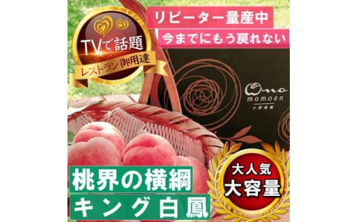 《桃界の横綱キング白鳳》人気品種指定ギフト4年連続TV出演話題ブランド桃2026年7月上旬発送【1465187】山梨県山梨市54000果物・フルーツもも・すもも