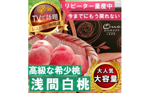 <市場にほぼ出回らない浅間白桃>人気品種指定ギフト5年連続TV出演話題ブランド2026年7月中旬発【1465263】山梨県山梨市54000果物・フルーツもも・すもも