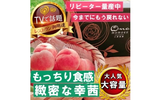 《もっちりカリカリ不思議な幸茜》人気品種指定ギフト5年連続TV出演話題ブランド2026年8月中旬発送【1465332】山梨県山梨市54000果物・フルーツもも・すもも