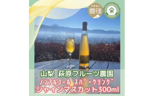 R ͂ӂ mAR[Xp[NO VC}XJbg 300ml×2{ (ϔ)y1482160zRRs20000Ȇ E