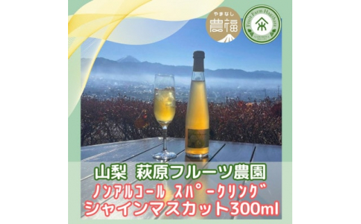 R ͂ӂ mAR[Xp[NO VC}XJbg 300ml×2{ (ϔ)y1482160zRRs20000Ȇ E