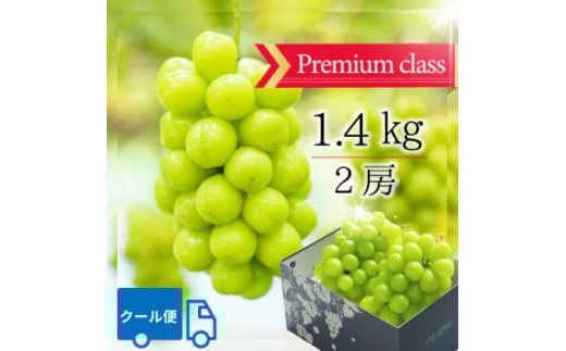 2026NRs v~AVC}XJbg(1.4kg)[2[ ϔy1484817zRRs18000ʕEt[c}XJbgEԂǂ