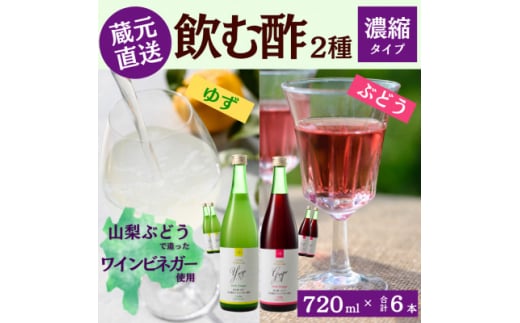 お酢のイメージを変える!ドリンクビネガー2種6本セット(濃縮タイプ飲む酢/山梨産ワインビネガー使用)【1488388】山梨県山梨市65000お茶・飲料果汁・野菜飲料