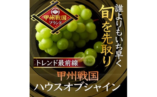 <今逃せば1年待ち>最高糖度20度オーバー贈答用甲州戦国ハウスオブシャイン2026年6月下旬より発送【1494214】山梨県山梨市52000果物・フルーツマスカット・ぶどう