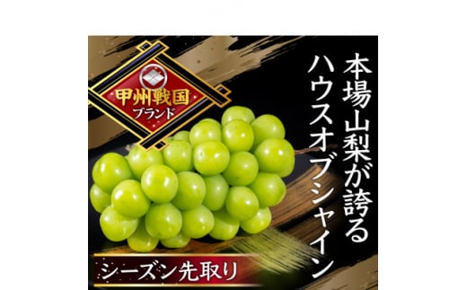 <唯一無二の逸品>ココだけしか味わえない幻のハウスオブシャインマスカット2026年6月下旬より発送【1494998】山梨県山梨市41000果物・フルーツマスカット・ぶどう
