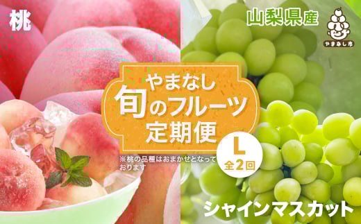 <発送月固定定期便>やまなし旬のフルーツ定期便(桃・シャインマスカット)<L>全2回_ もも ぶどう ブドウ 山梨 フルーツ 果物 くだもの セット 贈答 ギフト プレゼント  【4012929】山梨県