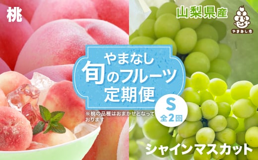 <発送月固定定期便>やまなし旬のフルーツ定期便(桃・シャインマスカット)<S>全2回_ もも ぶどう ブドウ 山梨 フルーツ 果物 セット 贈答 ギフト プレゼント 産地直送  【4012931】山梨県