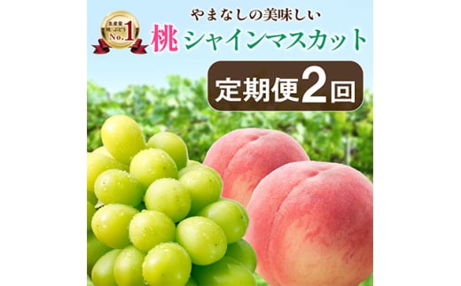 <発送月固定定期便>山梨の美味しい<桃とシャインマスカット>定期便全2回_ 桃 もも・シャインマスカット ぶどう ブドウ お試し フルーツ 果物 詰め合わせ セット 贈答 ギフト 【4013283】