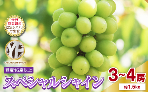 2026年度先行予約 フルーツ王国山梨産厳選 シャインマスカット 3〜4房(約1.5kg)【1501767】山梨県山梨市16000果物・フルーツマスカット・ぶどう