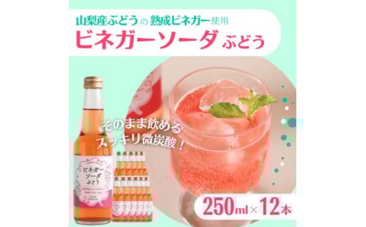 山梨産ぶどう100%の熟成ビネガーで造った!そのまま飲める「ビネガーソーダぶどう12本セット」【1518630】山梨県山梨市22000お茶・飲料その他 お茶・飲料