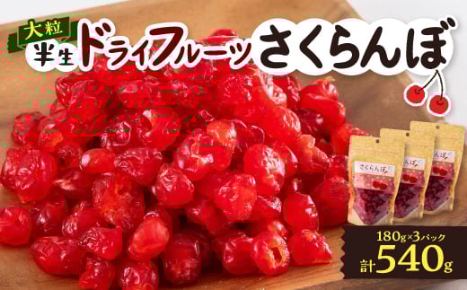 やまなし半生ドライフルーツ さくらんぼ 3パックセット 540g【1515457】山梨県山梨市9000鍋セット・総菜・加工食品その他 鍋セット・総菜・加工食品