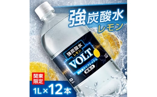 ݂֓̂͂Y_ 1L 12{ v12LT[tVOLT({g)@Y ybg{gy1532982zRRs4000EE~lEH[^[