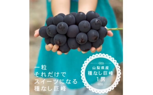 <2026年発送分先行受付>巨峰ぶどう(種なし) 1房500グラム以上 産地直送 山梨県山梨市牧丘産【1535989】山梨県山梨市10000果物・フルーツマスカット・ぶどう