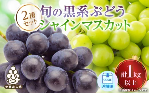 <2026年発送 先行受付>山梨産シャインマスカットと黒系葡萄2色セット【1564591】山梨県山梨市12000果物・フルーツマスカット・ぶどう