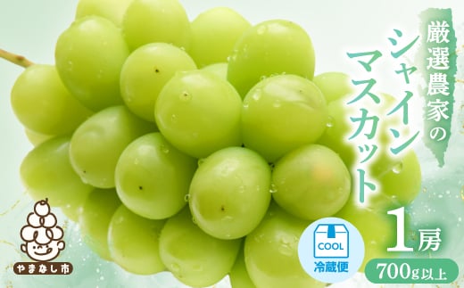 <2026年発送 先行受付>厳選農家のシャインマスカット 700g以上 1房 化粧箱入り【1565534】山梨県山梨市10000果物・フルーツマスカット・ぶどう