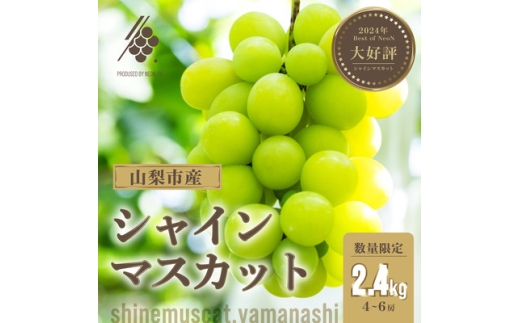 <先行受付2026年発送> シャインマスカット 4〜6房(計約2.4kg)<訳あり>【1567962】山梨県山梨市24000果物・フルーツマスカット・ぶどう