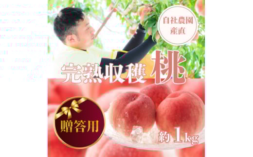 2026Ns\񁄁pnn 1kg RY Д_Y!y1580902zRRs12000ʕEt[cE