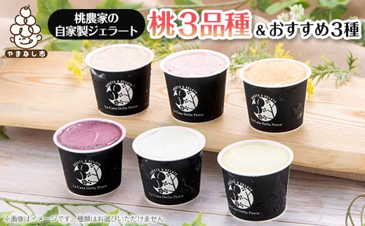 カフェラペスカのジェラート 桃3品種とセレクト3個【1591418】山梨県山梨市12000菓子・スイーツアイス・ジェラート