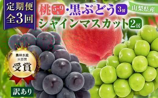 <発送月固定定期便><訳アリ>山梨の桃と黒ぶどう・シャインマスカット全3回【4063714】山梨県山梨市29000果物・フルーツもも・すもも