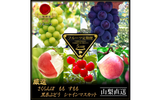 <発送月固定定期便>フルーツ定期便全5回【4066763】山梨県山梨市63000果物・フルーツもも・すもも