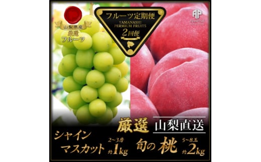 <発送月固定定期便>フルーツ定期便全2回【4066752】山梨県山梨市24000果物・フルーツもも・すもも