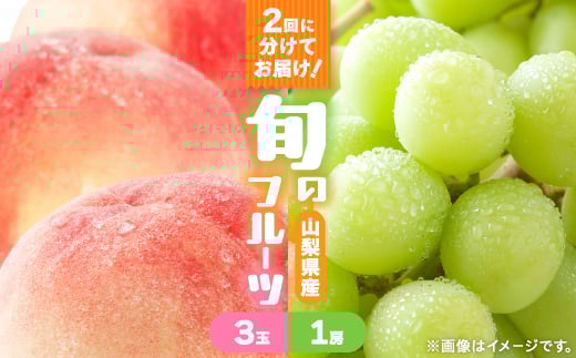 <発送月固定定期便>桃3玉(1kg) シャインマスカット1房(500g以上)全2回【4067604】山梨県山梨市24000果物・フルーツもも・すもも