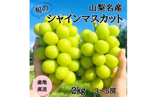 ◆2026年年発送◆産地直送 山梨名産!旬のシャインマスカット 3〜5房(約2kg)【1640708】山梨県山梨市20000果物・フルーツマスカット・ぶどう