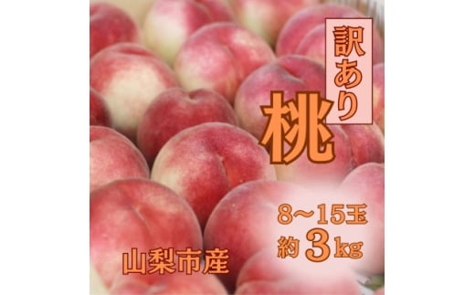 2026Nst󂠂蓍!3kgO ƒp Hp!y1647628zRRs11000ʕEt[cE