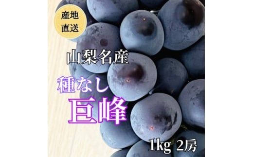 2026NNYn@RY!Ȃ@2[`3[(1kg)y1644828zRRs10000ʕEt[c}XJbgEԂǂ