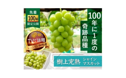 撅100聄MM܂ŊnsɏoȂw㊮nVC}XJbgx2kgy1659951zRRs52000ʕEt[c}XJbgEԂǂ