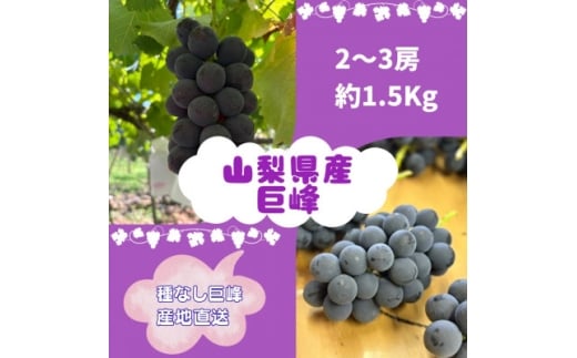 2026Nst2`3[(1.5kg)y1667737zRRs14000ʕEt[c}XJbgEԂǂ