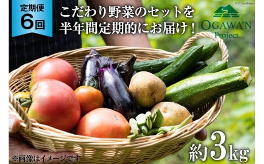No.137 OGAWA'N@؃Zbg̒ցi6AjJAʒyʌ쒬zʌ쒬60000؁Ê̑ 