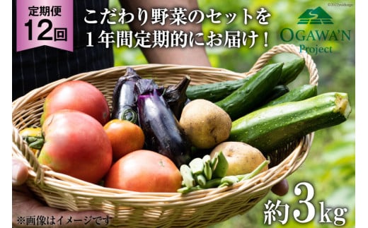 No.138 OGAWA'N@؃Zbg̒ցiN12j@JAʒyʌ쒬zʌ쒬120000؁Ê̑ 