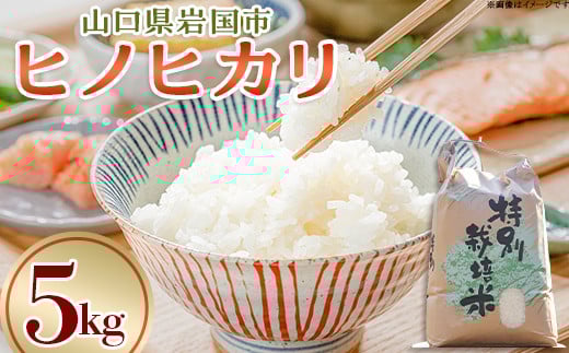 ヒノヒカリ 5kg 岩国市 美和町産山口県岩国市12000米・パン白米