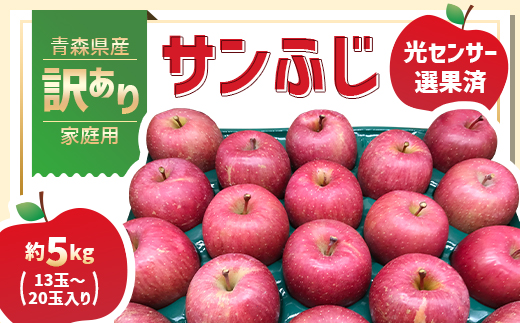 青森県産「サンふじ」家庭用 訳あり 光センサー選果済 約5kg【1635392】青森県田舎館村12000果物・フルーツりんご・梨